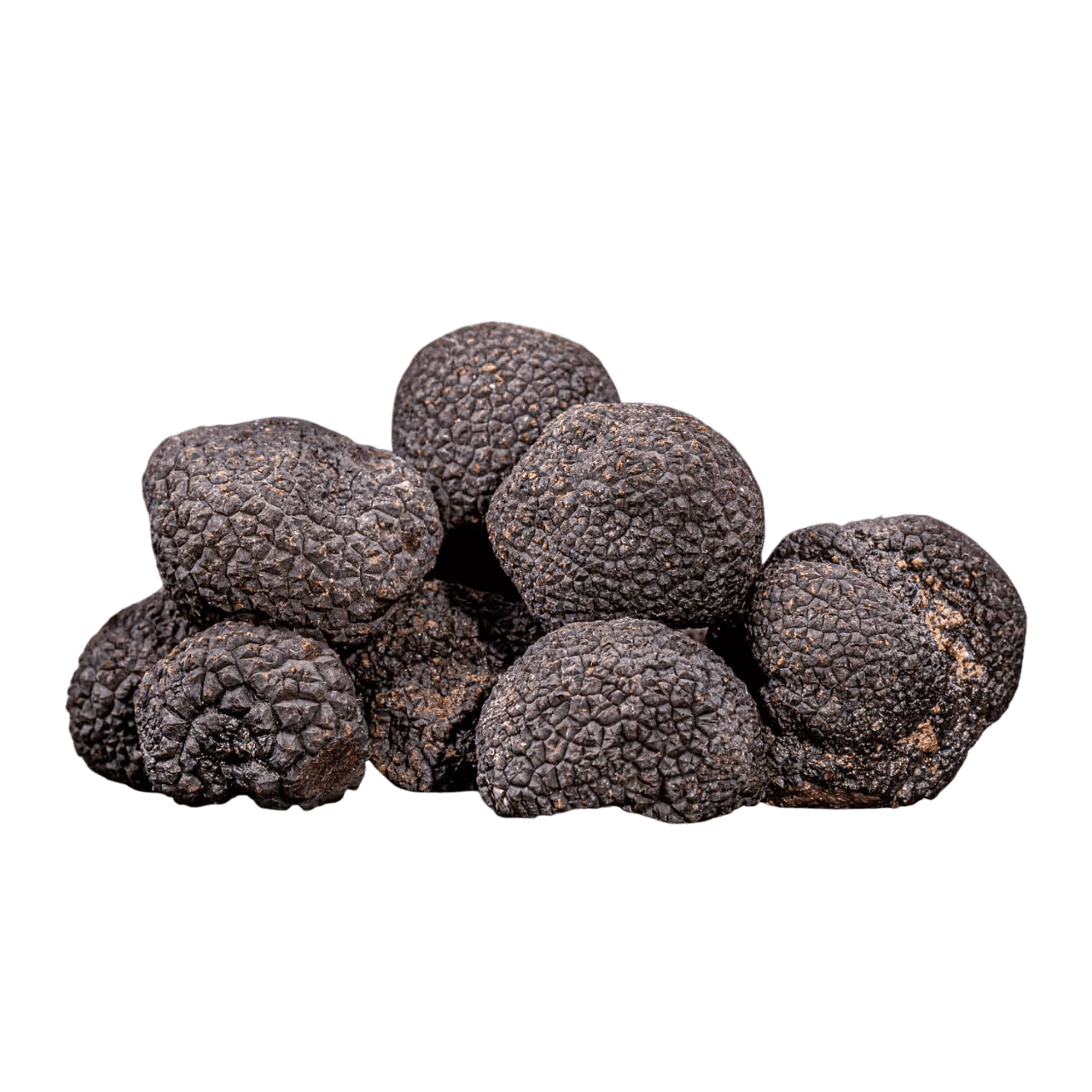 Truffe D’été