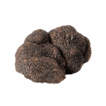 TRUFFES-NOIRES-Le-Trufficulteur