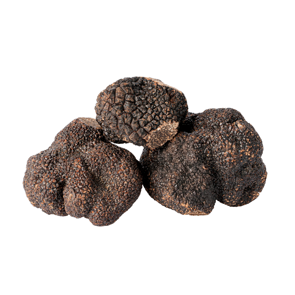 Truffe Noire
