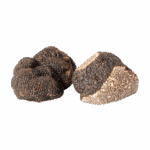 TRUFFES-NOIRES-Le-Trufficulteur3